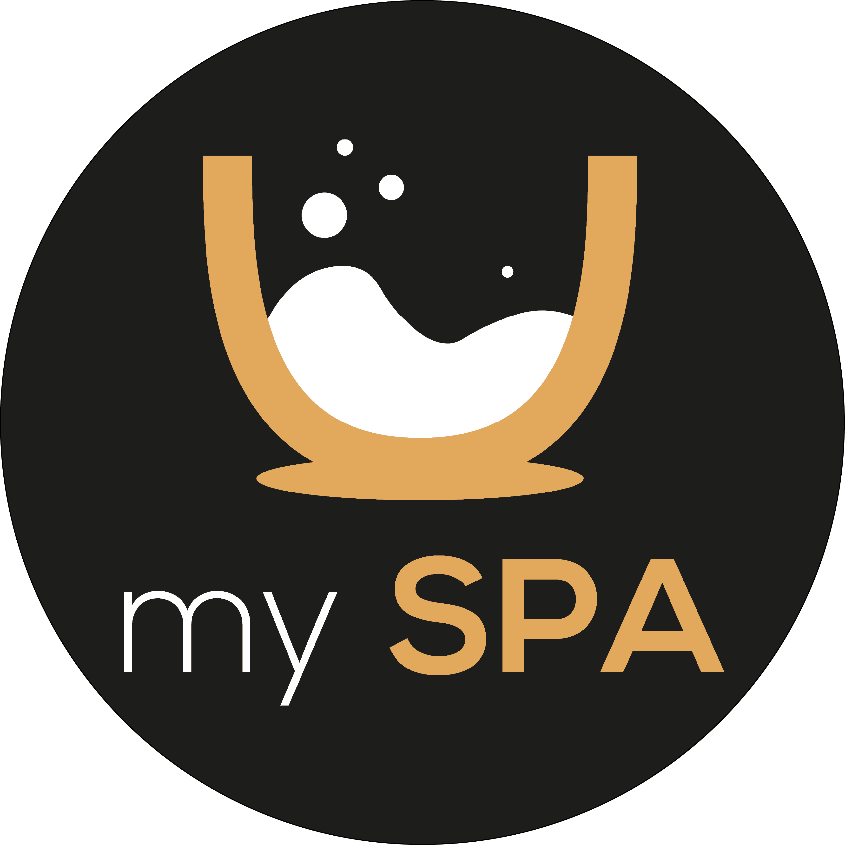 2logo_my_spa